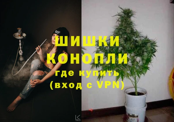 дурь Вяземский